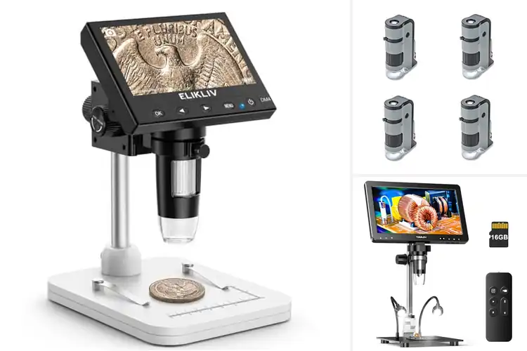Detailed view of Best LED Lighted Microscopes: Discover Hidden Worlds