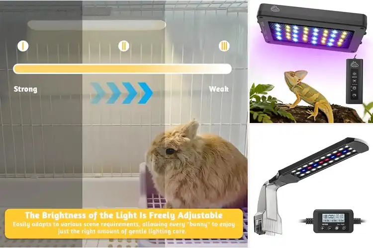 Detailed view of Best LED Lighting For Observation