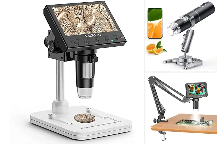 Detailed view of Best LED-Lit Digital Microscopes