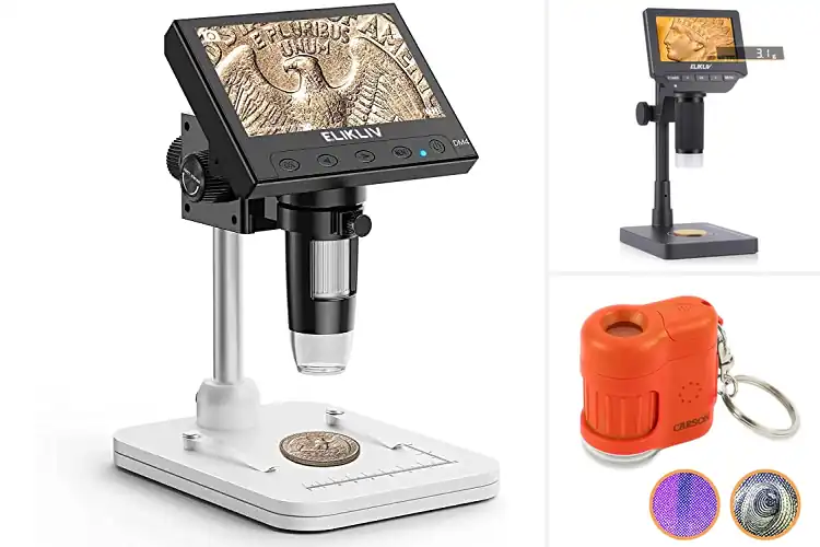 Detailed view of Best LED-Lit Microscopes