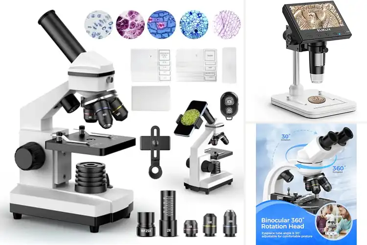 Detailed view of Best Light Microscopes