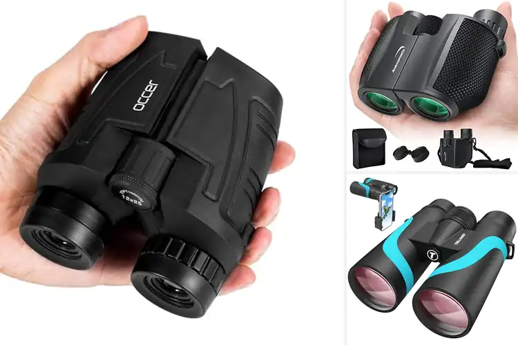 Detailed view of Best Lightweight Binoculars For Travel