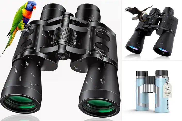 Detailed view of Best Lightweight Yet Durable Binoculars
