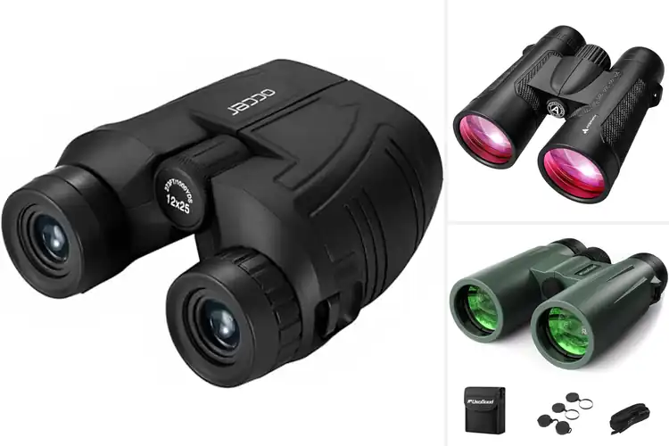 Detailed view of Best Low Light Binoculars For Hunting