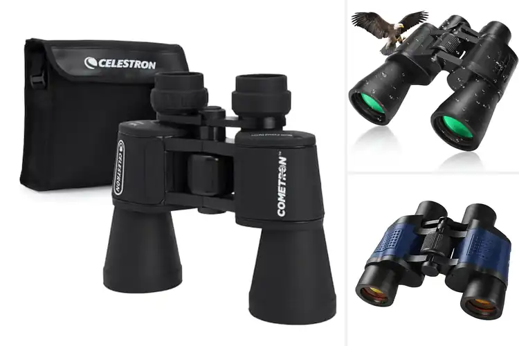 Detailed view of Best Low Light Binoculars For Stargazing