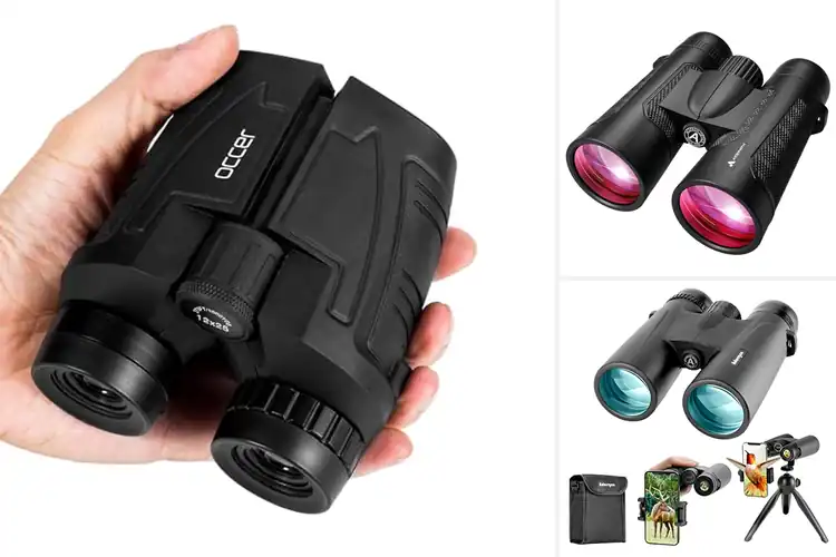 Detailed view of Best Low Light Binoculars: Top Picks for Clear Night Views