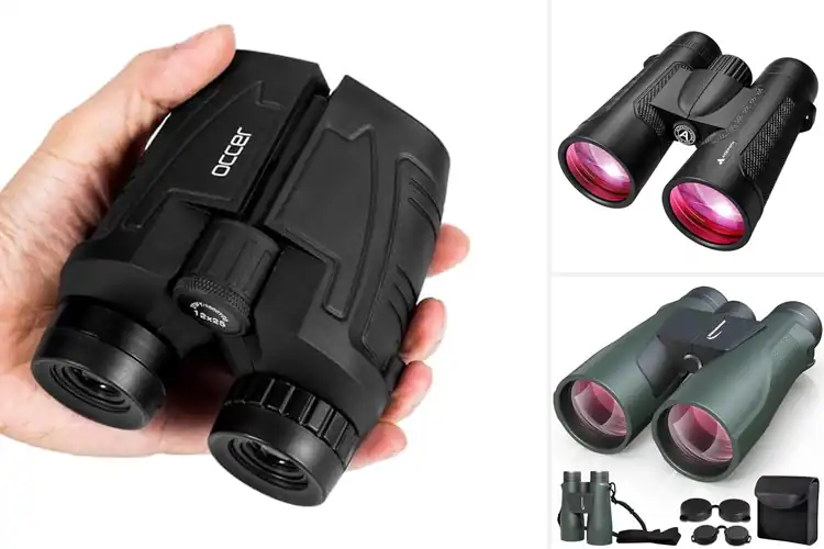 Detailed view of Best Low Light Clarity Binoculars for Sharp Night Views