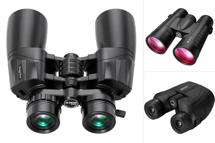 Detailed view of Best Low Light Vision Binoculars For Dusk