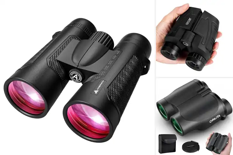 Detailed view of Best Low-Light Vision Binoculars For Hunting