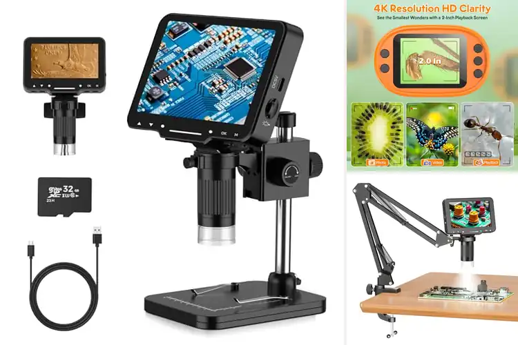 Detailed view of Best Magnification 1000X