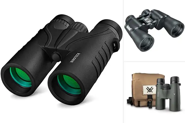 Detailed view of Best Magnified Binoculars 10x
