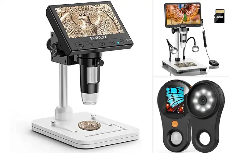 Detailed view of Best Magnifying Microscopes: See the Unseen