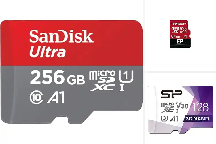 Detailed view of Best Memory Cards For Android Phones