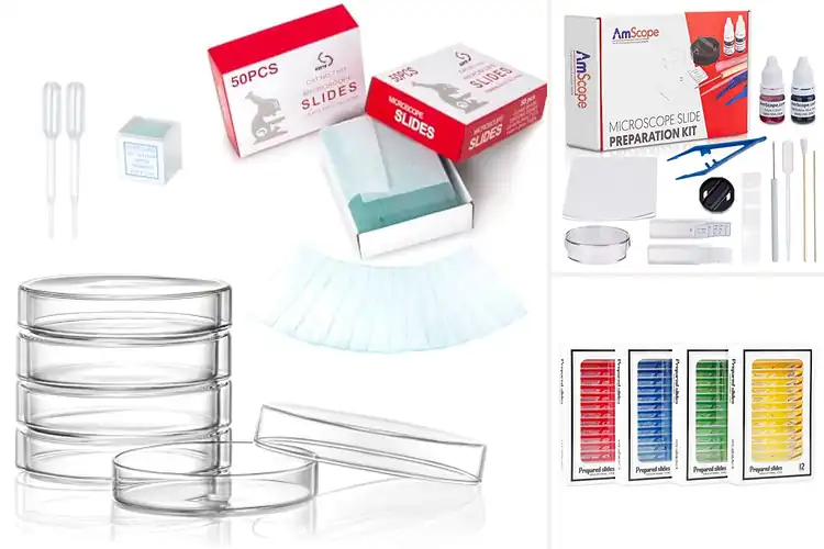 Detailed view of Best Microscope Accessories: Unlock Microscopic Wonders