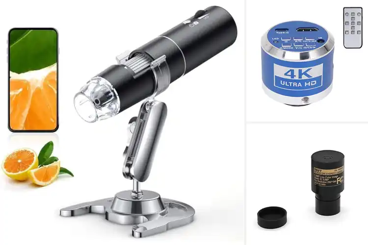 Detailed view of Best Microscope Cameras: Top 10 Picks to Explore Tiny Worlds