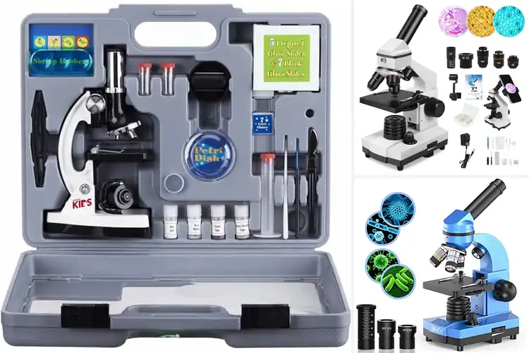 Detailed view of Best Microscopes For Beginners