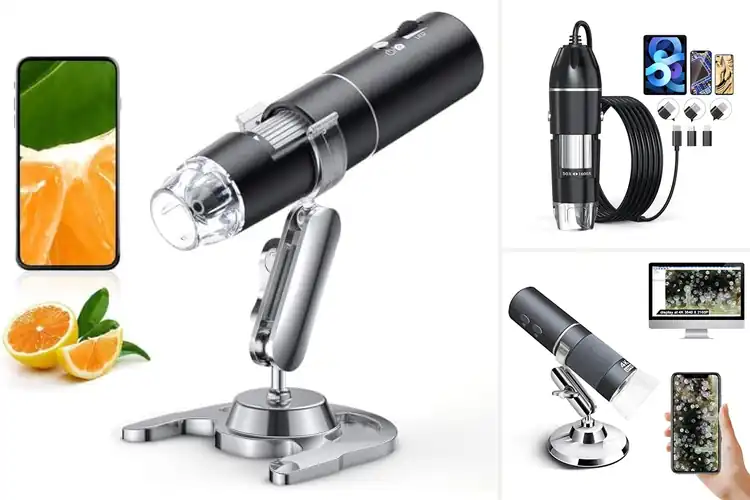 Detailed view of Best Microscopes for iPhone