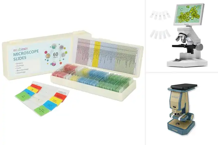 Detailed view of Best Microscopes For Kids STEM Education