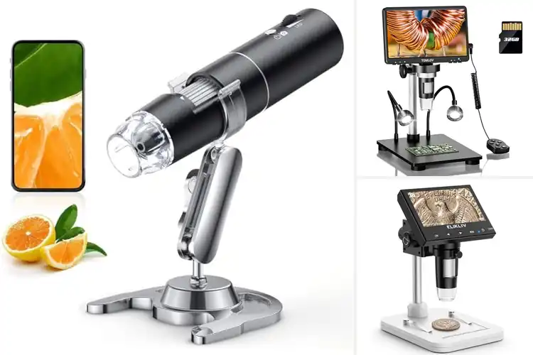 Detailed view of Best Microscopes for PC