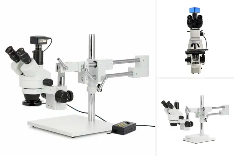 Detailed view of Best Microscopes For Quality Control