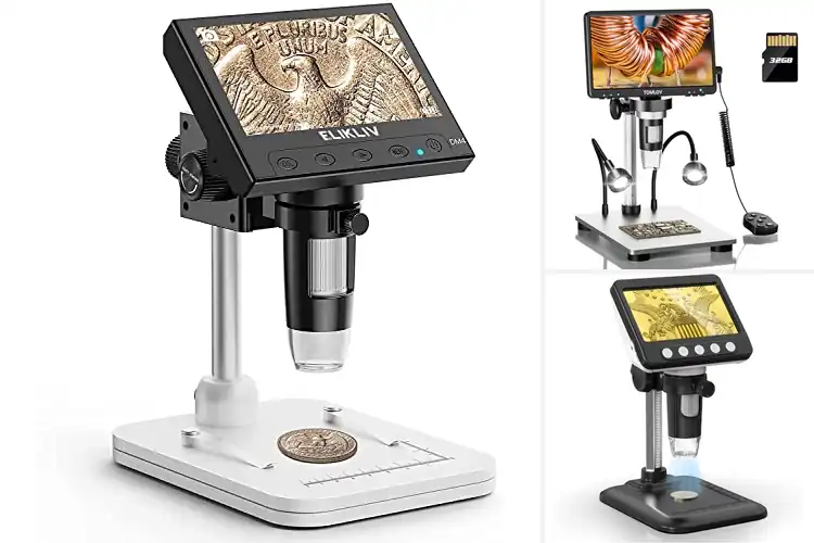 Detailed view of Best Microscopes For Stamp And Coin Analysis