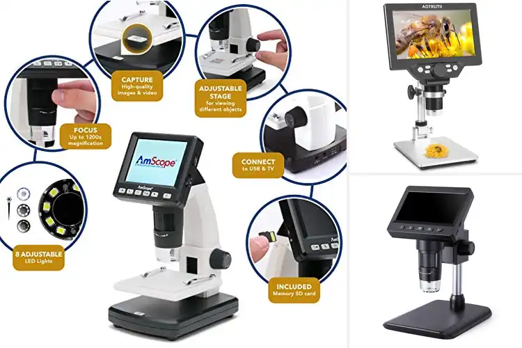 Detailed view of Best Microscopes For Stamp Collecting