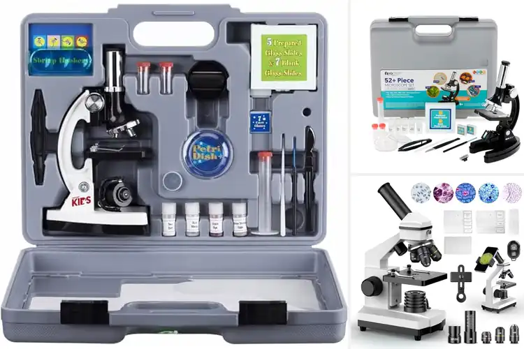 Detailed view of Best Microscopes for STEM Education