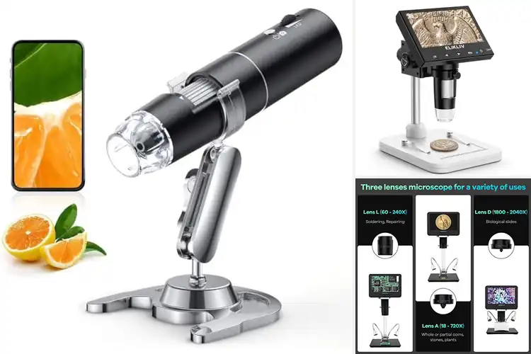 Detailed view of Best Microscopes for Windows