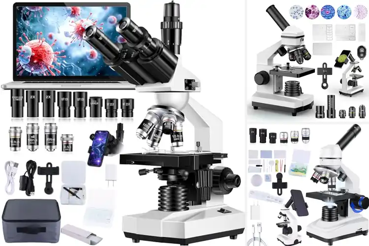 Detailed view of Best Microscopes: Uncover Tiny Wonders with Ease