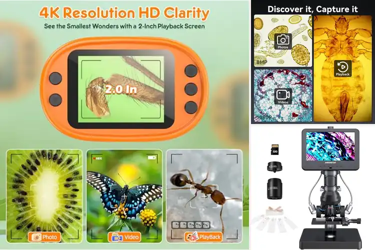 Detailed view of Best Microscopes with Screen