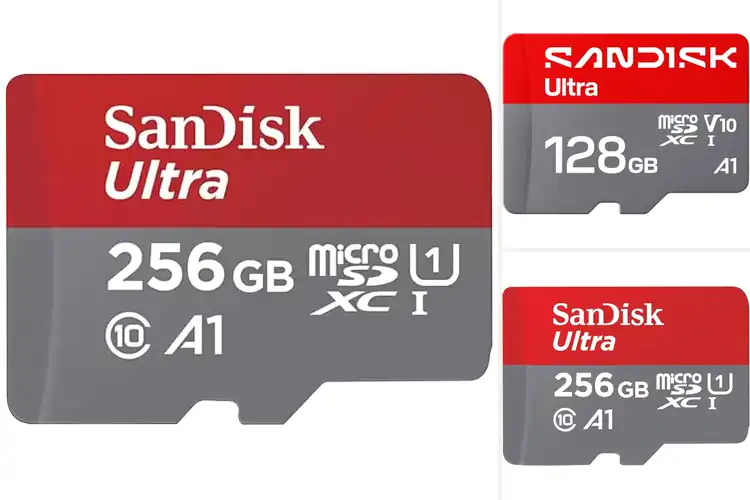 Detailed view of Best MicroSD Cards For Chromebooks
