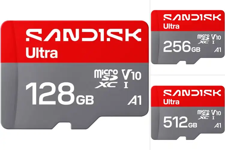 Detailed view of Best MicroSD Cards For File Backup