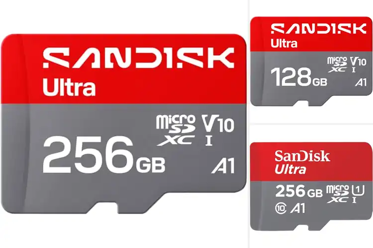 Detailed view of Best MicroSD Cards For Full HD Video