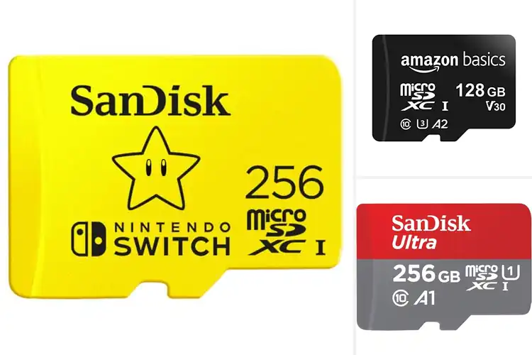 Detailed view of Best MicroSD Cards For Nintendo Switch