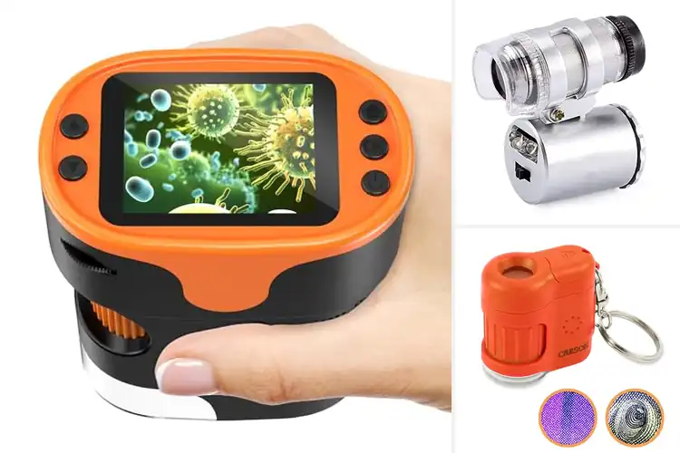 Detailed view of Best Mini Microscope