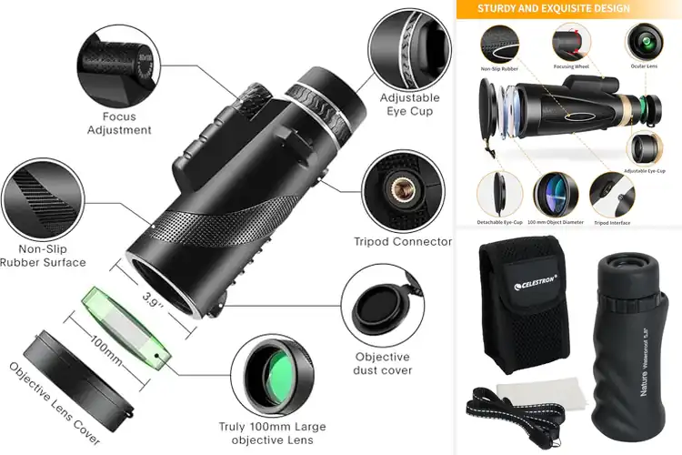 Detailed view of Best Monoculars for Wildlife Viewing