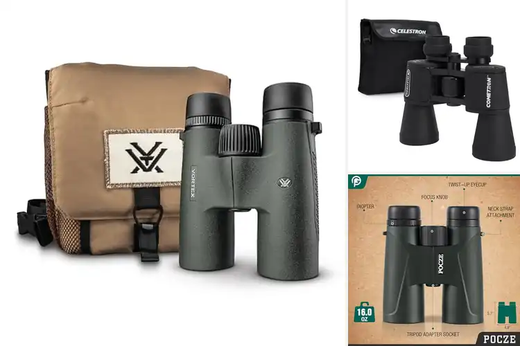 Detailed view of Best Multi-Coated Binoculars: Crystal-Clear Adventure Views