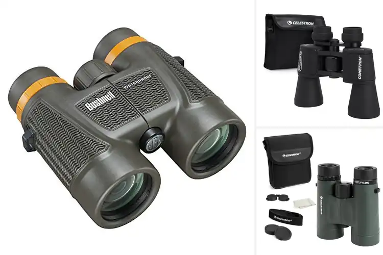 Detailed view of Best Multi Coated Lens Binoculars for Stunning Outdoor Views