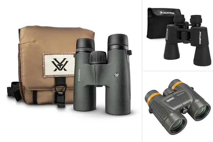 Detailed view of Best multi-coated lenses binoculars