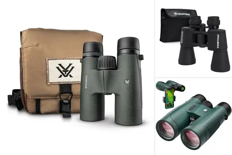 Detailed view of Best Multi-Coated Optics Binoculars