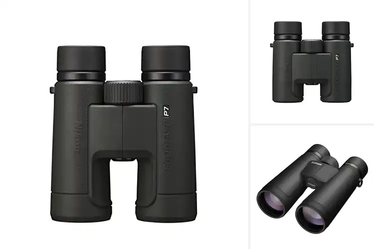 Detailed view of Best Multilayer-Coated Lenses Binoculars