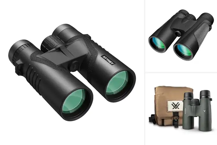 Detailed view of Best Optical Clarity Binoculars With FMC Coating