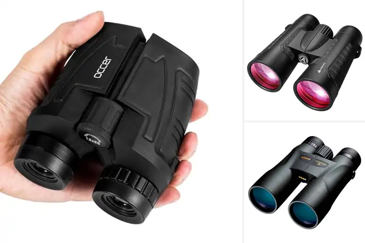 Detailed view of Best Outdoor Binoculars: Top 10 for Adventure & Clarity
