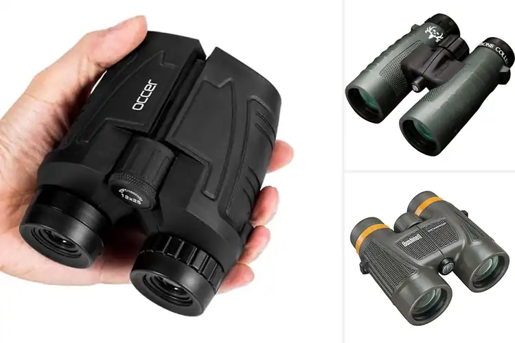 Detailed view of Best Outdoor Hunting Binoculars