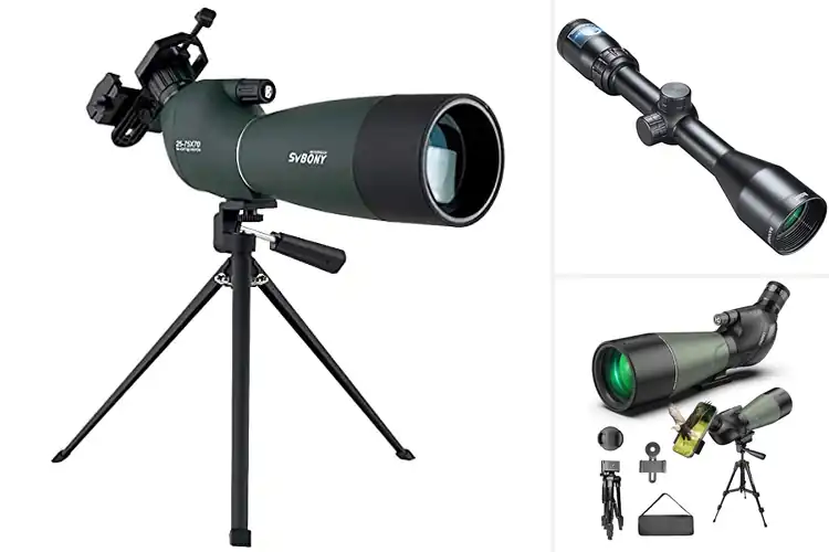 Detailed view of Best Outdoor Scopes: Elevate Every Adventure