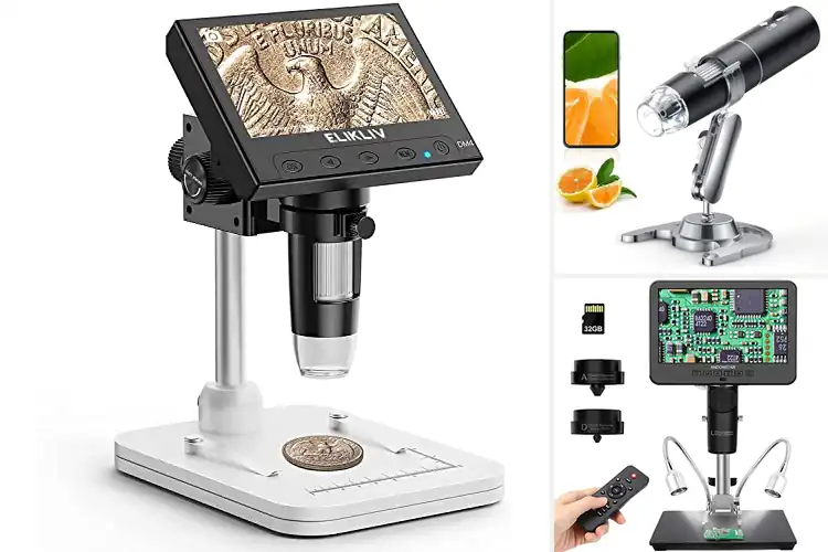 Detailed view of Best PC Compatible Microscopes