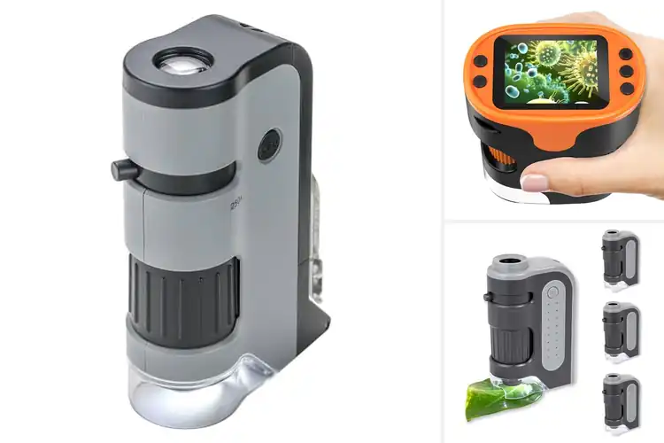 Detailed view of Best Pocket Microscopes