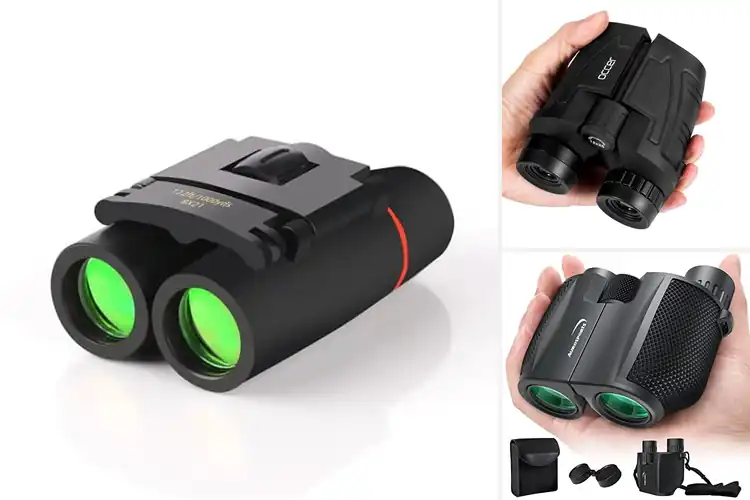 Detailed view of Best Portable Binoculars For Bird Watching