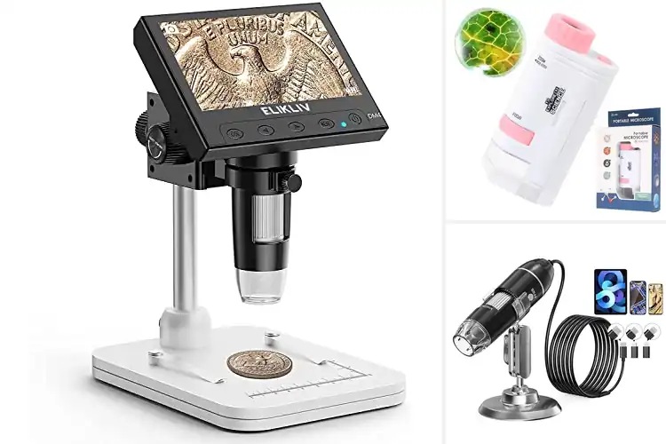 Detailed view of Best Portable Microscopes with LED Lights