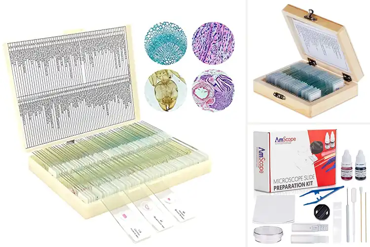 Detailed view of Best Prepared Slides Included Microscope
